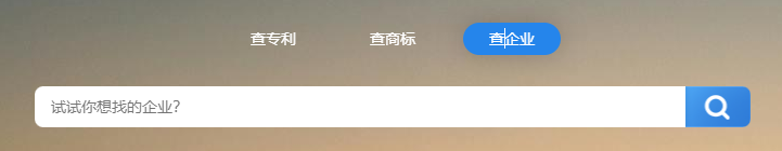 企业检索框